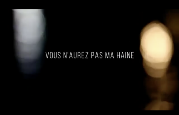 VOUS N&rsquo;AUREZ PAS MA HAINE